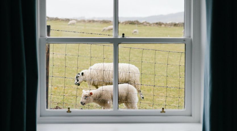 Photo of The Voice of Nature