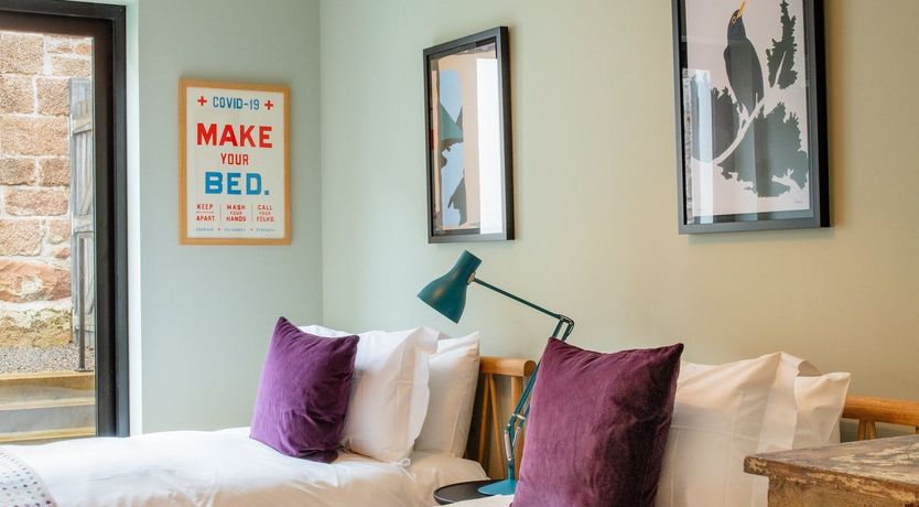 Photo of High Violet