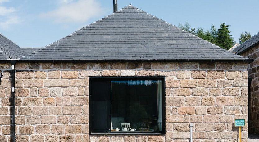 Photo of Song of the Wild