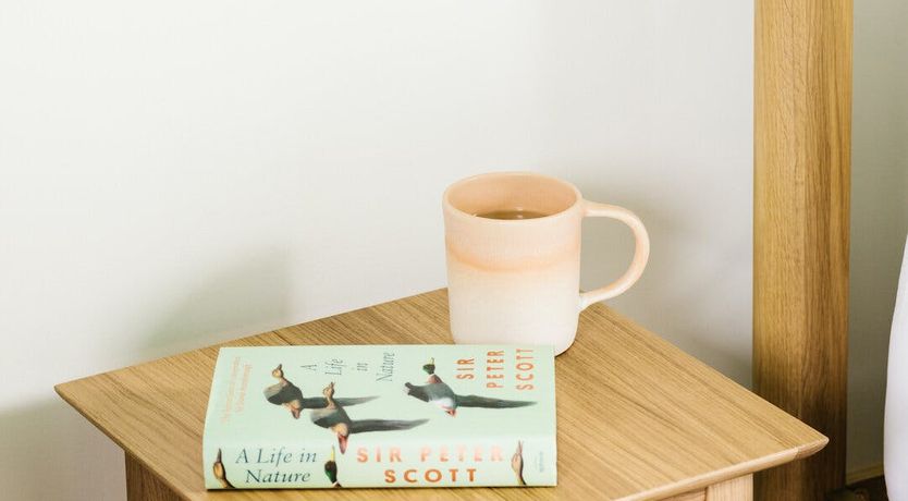 Photo of Song of the Wild