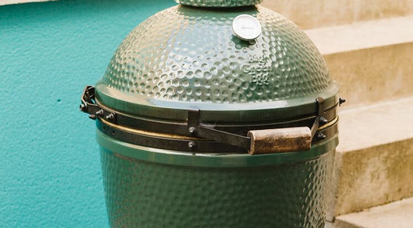 Photo of Song of the Wild