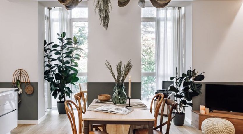 Photo of Tangerine Moon