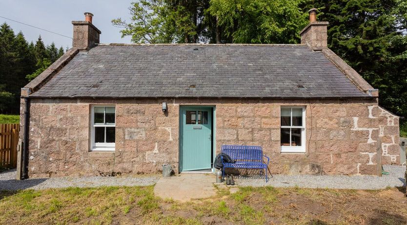 Photo of The Wild Muse