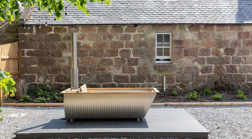 Photo of The Wild Muse