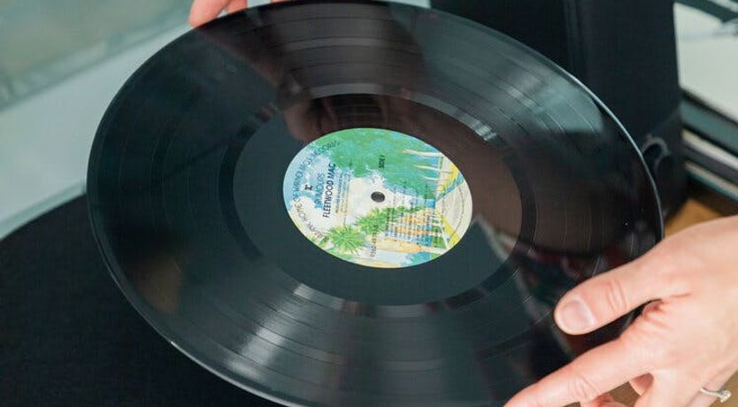 Photo of The Wild Muse