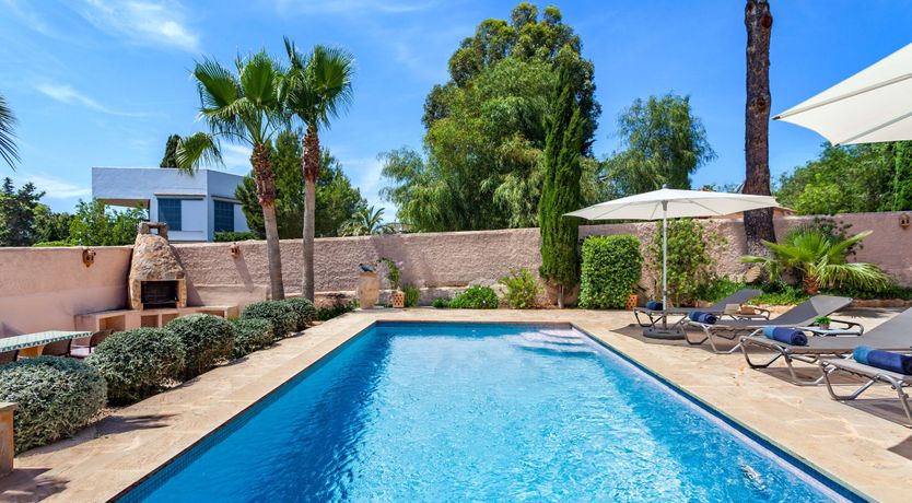 Photo of Secret of the Mountain