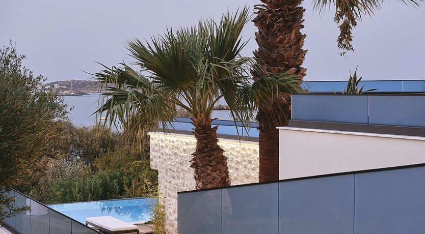 Photo of The Ancient Greek Grove