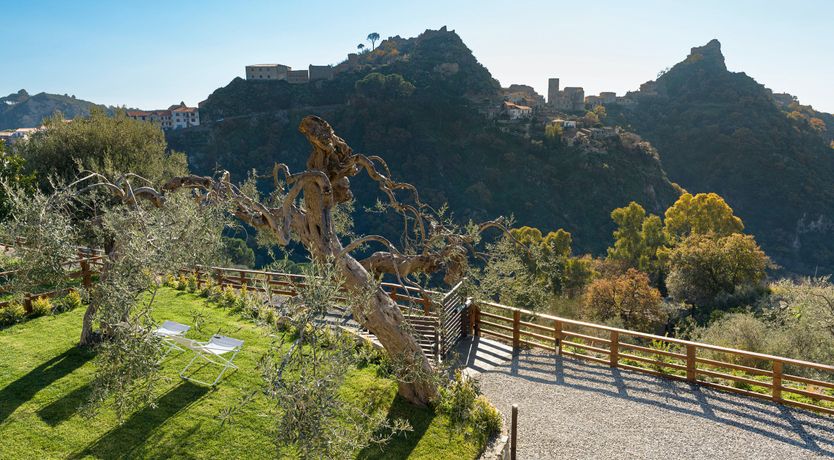 Photo of The Sweet Melody