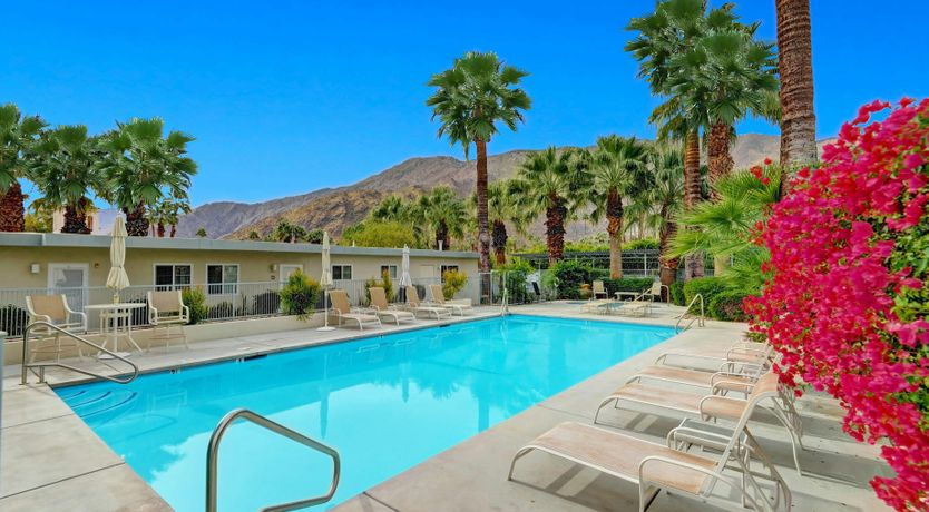 Photo of Midcentury Oasis