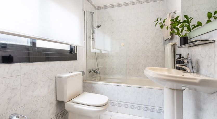 Photo of Madrid Muse