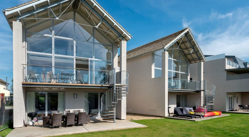 Photo of A Wild Flower