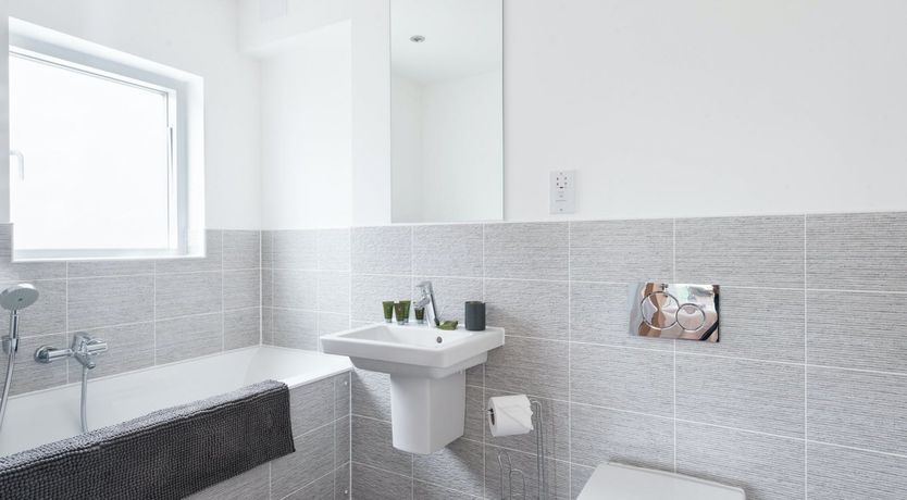 Photo of A Wild Flower