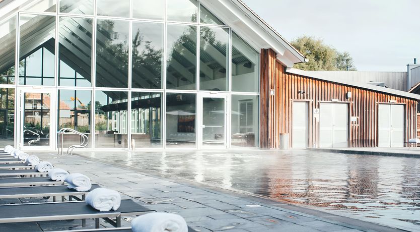 Photo of Marigold Bloom