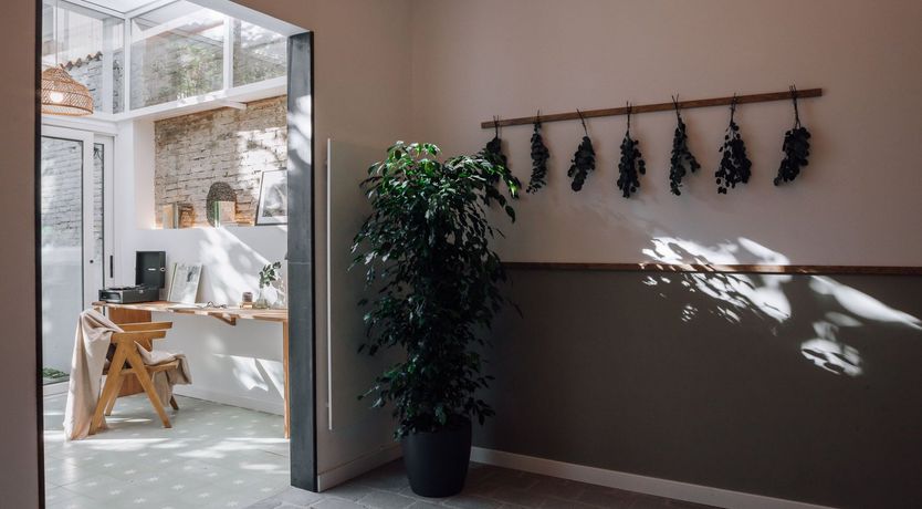 Photo of Sun On The Terrasse