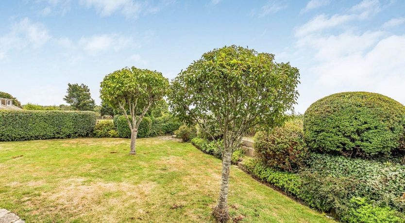 Photo of Anchors & Seashells