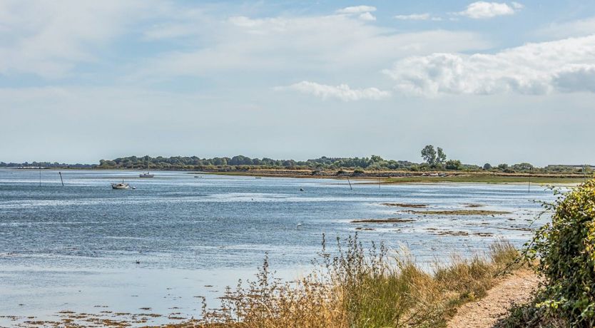 Photo of Anchors & Seashells
