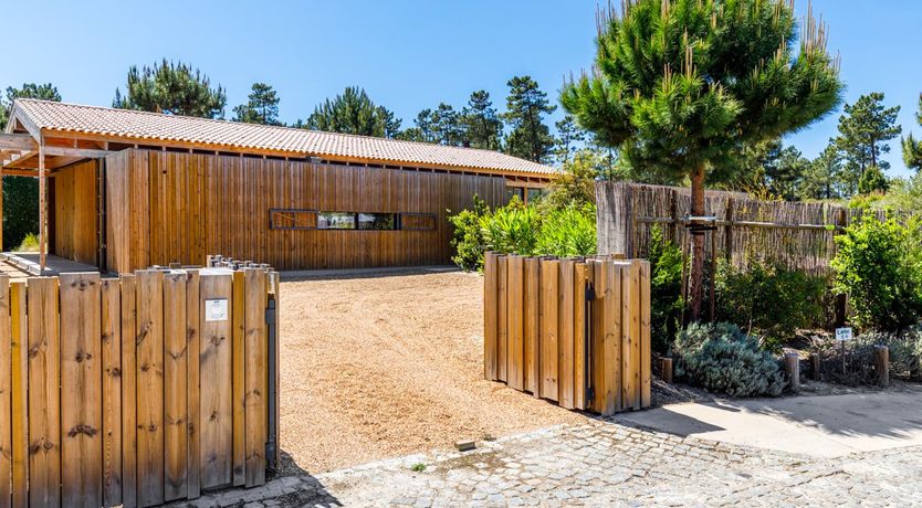 Photo of A Midsummer's Tale