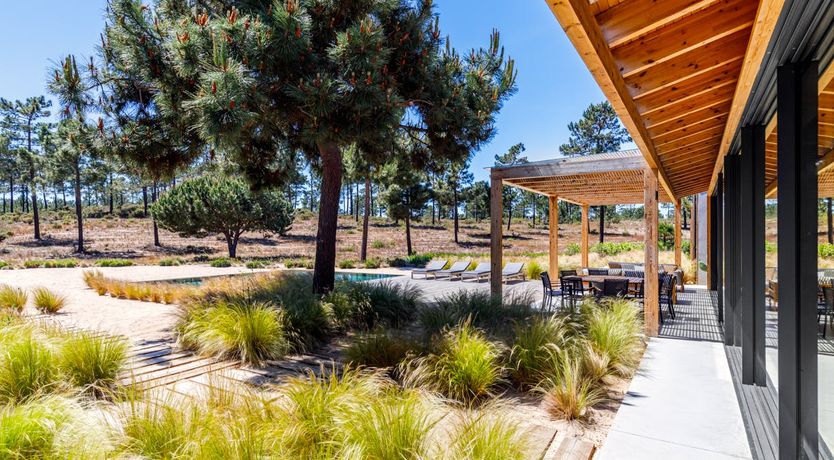 Photo of A Midsummer's Tale