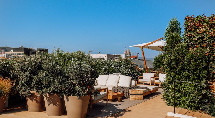 Photo of Mountain Pearl