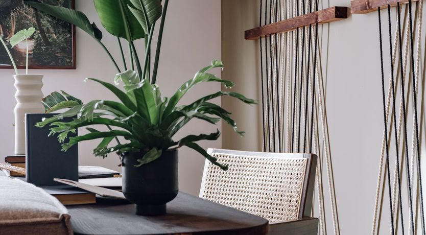 Photo of Mountain Pearl