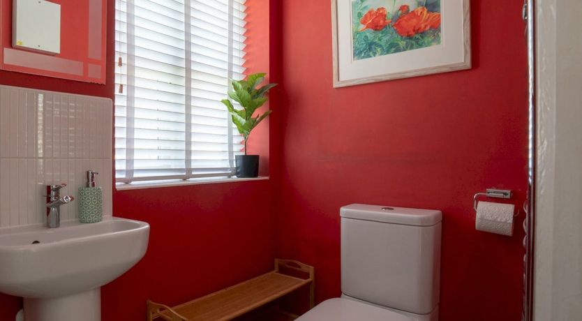 Photo of Violet Soul