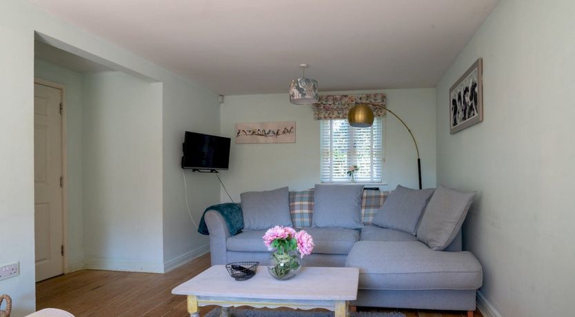 Photo of Violet Soul