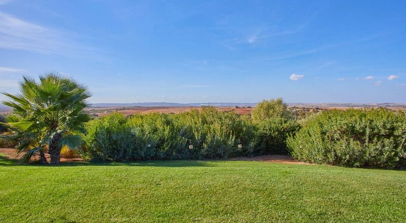 Photo of Andalusian Ambience