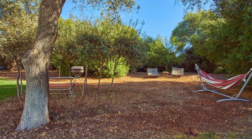 Photo of Andalusian Ambience