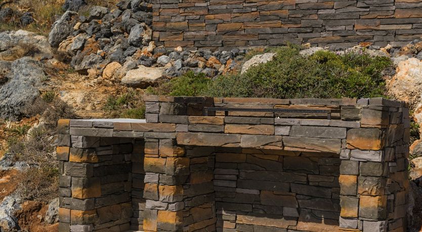 Photo of The Dawn of Generation