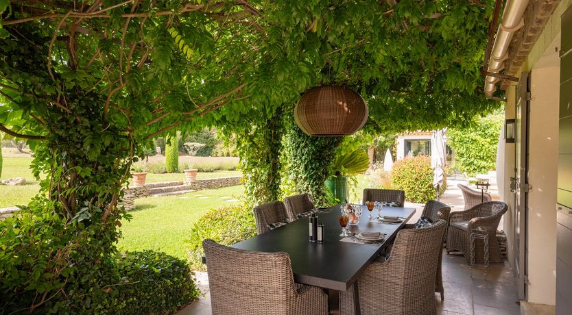 Photo of The Provence Rose