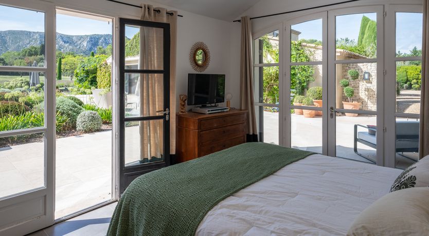 Photo of The Provence Rose