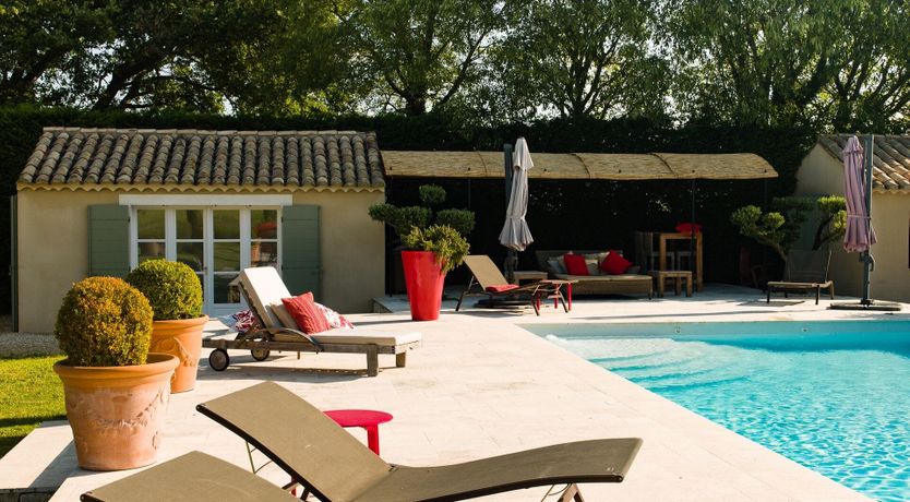 Photo of The Provence Rose