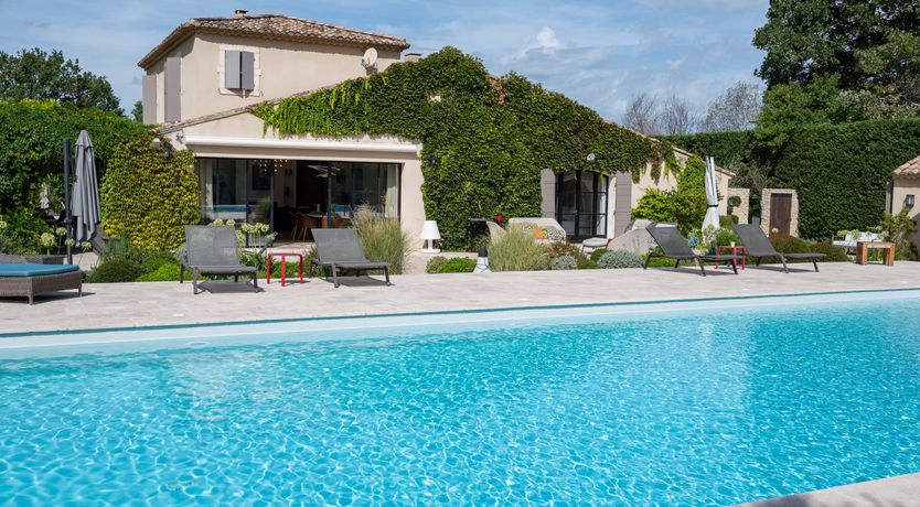 Photo of The Provence Rose