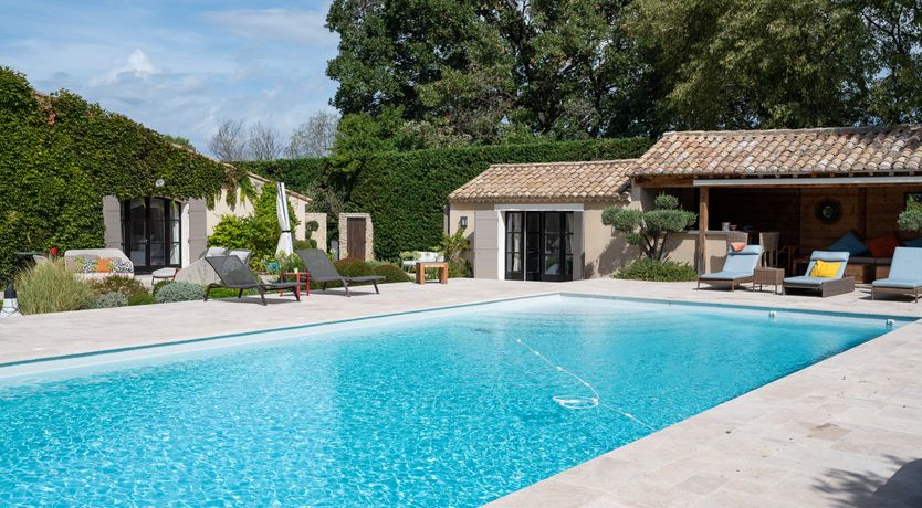 Photo of The Provence Rose