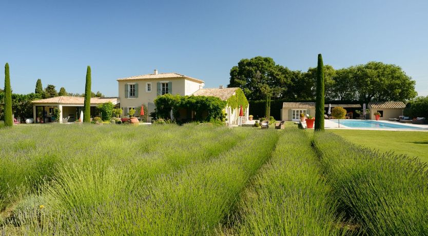 Photo of The Provence Rose