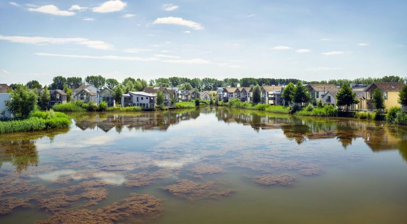 Photo of Master of the Lake