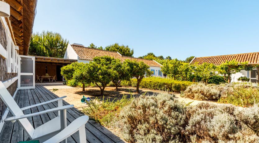 Photo of A Season in the Country