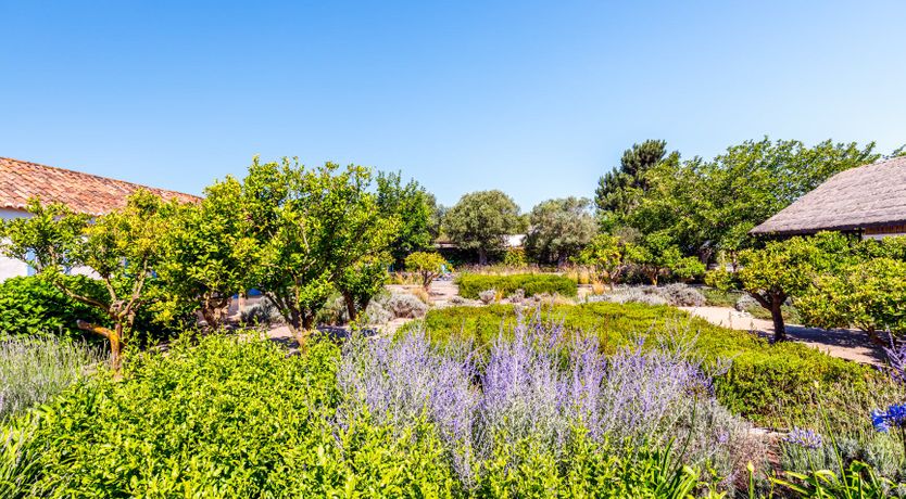 Photo of A Season in the Country