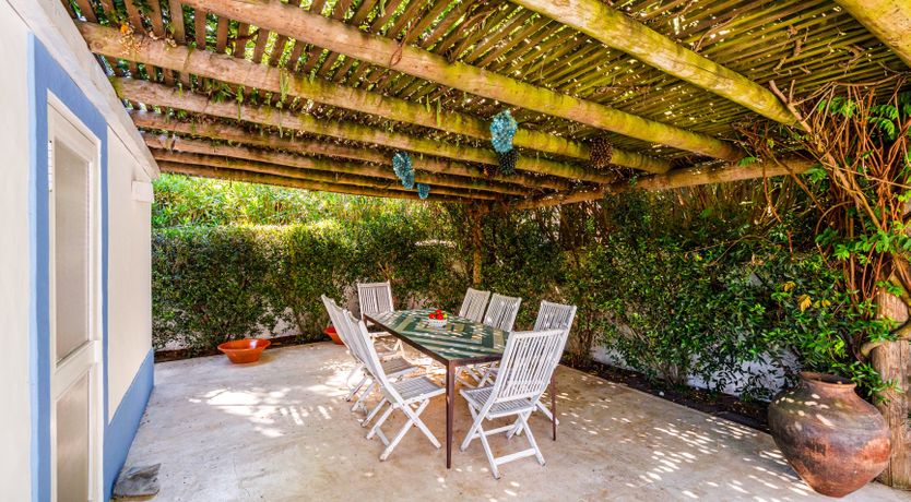 Photo of A Season in the Country