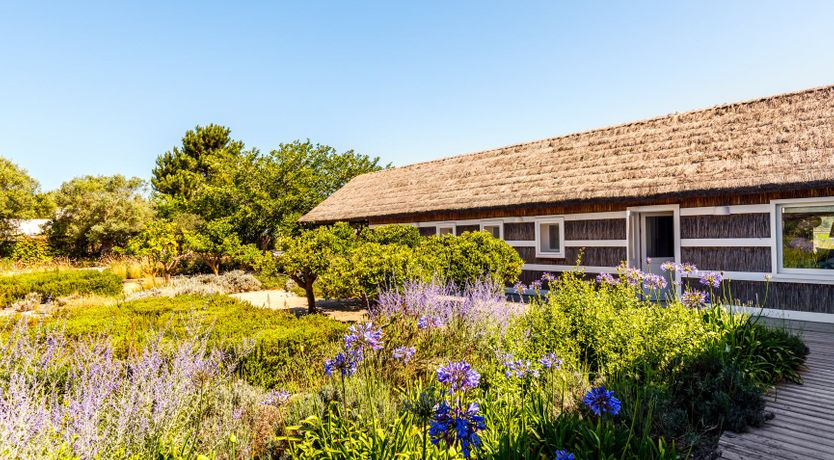 Photo of A Season in the Country