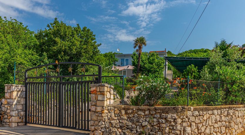 Photo of Golden Sunburst