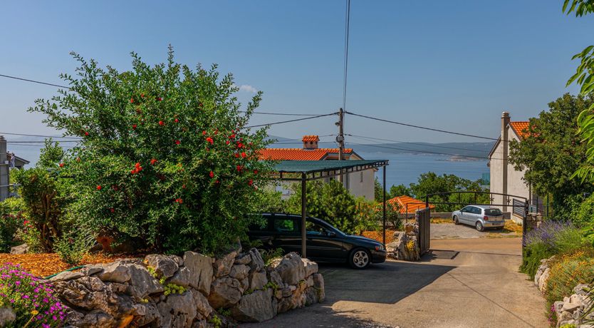 Photo of Golden Sunburst