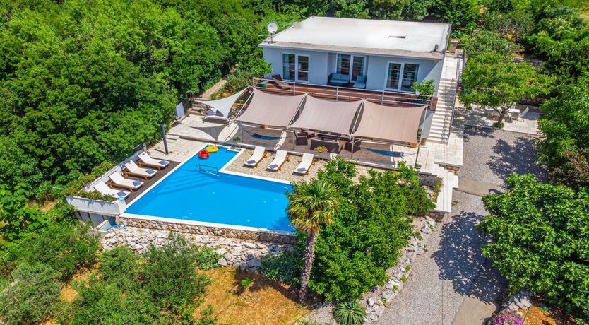 Photo of Golden Sunburst