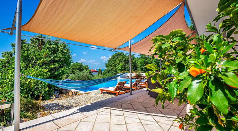 Photo of Golden Sunburst