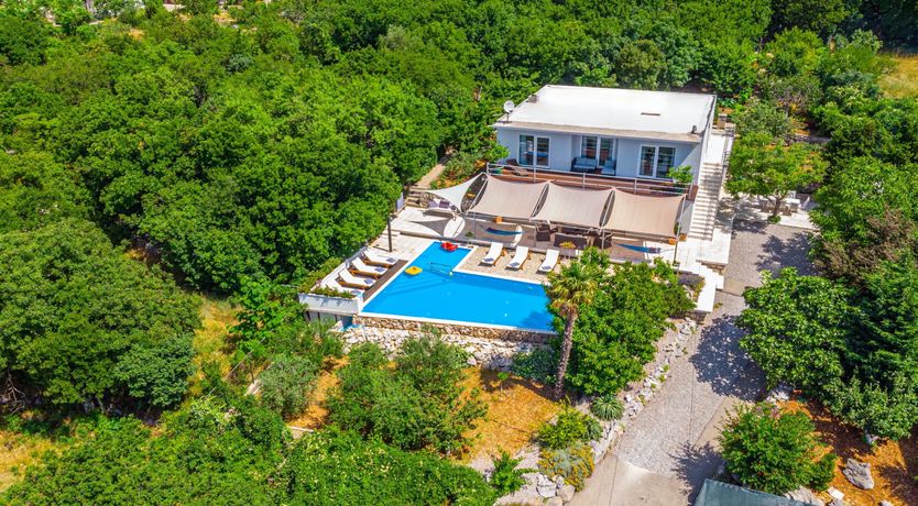 Photo of Golden Sunburst