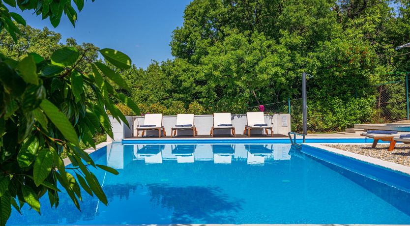 Photo of Golden Sunburst