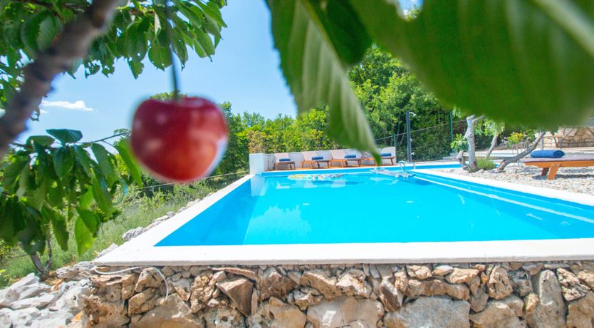 Photo of Golden Sunburst