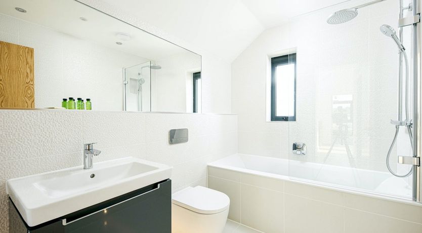 Photo of The Morning Muse