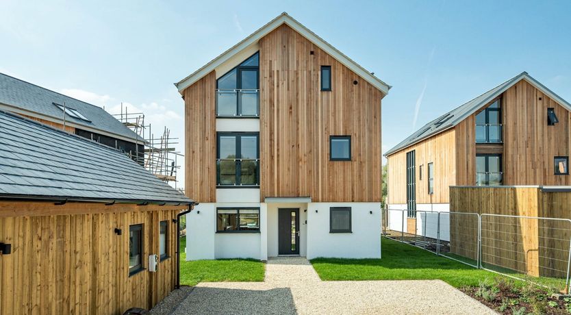 Photo of The Morning Muse