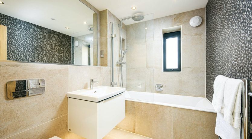 Photo of The Morning Muse